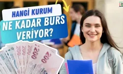 Üniversite öğrencileri hangi kurumdan burs alabilir? Hangi kurum ne kadar burs veriyor?