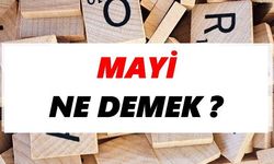 'Mayi' ne demek? Mayi ne anlama geliyor? TDK'ye göre mayi nedir?