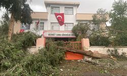 Şanlıurfa'nın Birecik ve Viranşehir ilçelerinde eğitime 4 gün ara