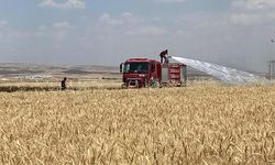 Mardin'de yaklaşık 300 dönüm ekili alan alevlere teslim oldu