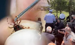 Kene kabusu can aldı: 15 yaşındaki çocuk yaşamını yitirdi