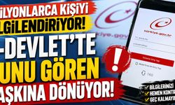 Milyonlarca kişiyi ilgilendiriyor! e-Devlet'te bunu gören şaşkına dönüyor