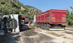 Büyükbaş hayvan yüklü tır devrildi: Çok sayıda hayvan telef oldu