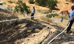 Alevlerin söndürülmesinin ardından acı manzara: Tarlada cansız bedeni bulundu
