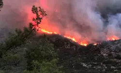Antalya’nın Kaş ilçesinde orman yangını