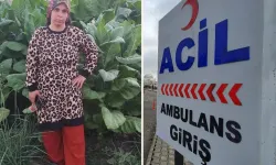 Tarlada çapa yaparken beyin kanaması geçiren 3 çocuk annesinden acı haber