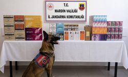 Mardin'de binlerce kaçak ürün ele geçirildi