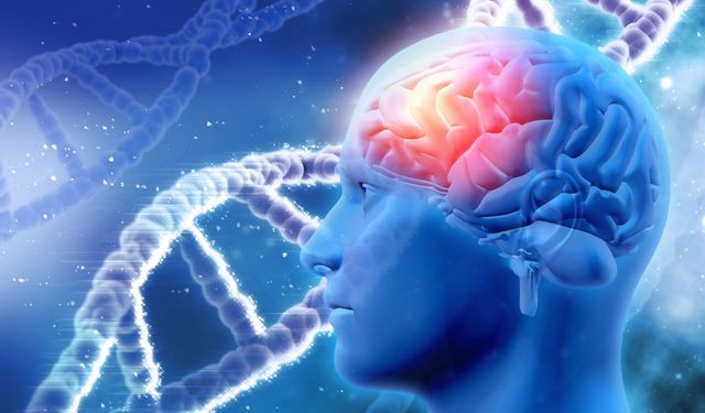 Anevrizma nedir? Beyin anevrizması nedir? Belirtileri nelerdir?