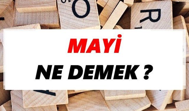 'Mayi' ne demek? Mayi ne anlama geliyor? TDK'ye göre mayi nedir?