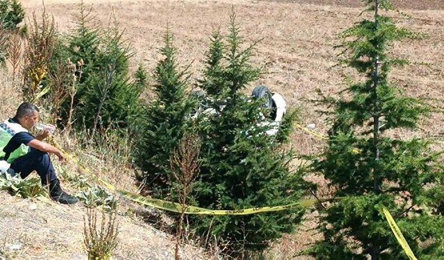 Acı haber: 1 jandarma şehit oldu