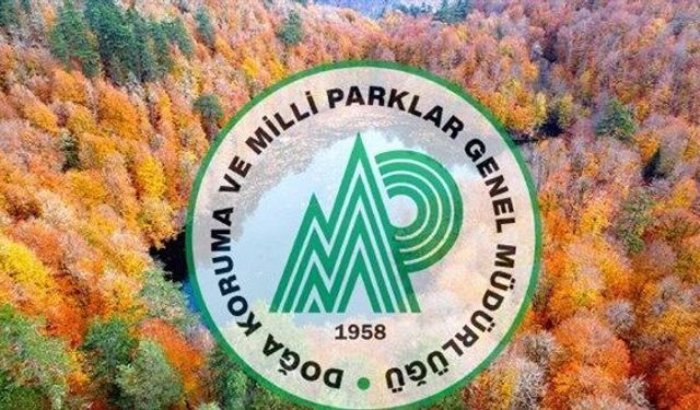 DKMP Genel Müdürlüğü 13 personel alımı yapacak!