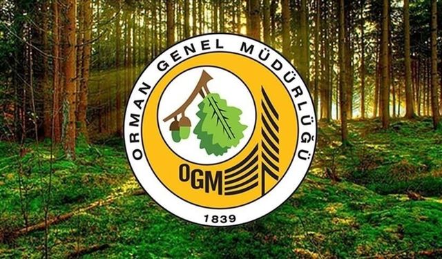 Kadrolar belli oldu: Orman Genel Müdürlüğü personel alacak