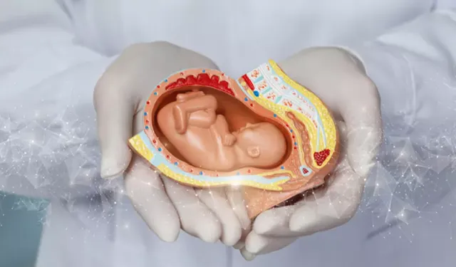 Tüp bebek tedavisinde tüm şartlar sil baştan değişiyor!