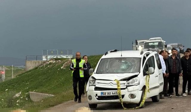 Ticari araç koyun sürüsüne daldı: Çoban öldü, 9 koyun telef oldu
