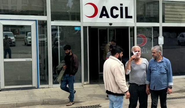 Sahipsiz köpeğin saldırdığı kişi yaralandı