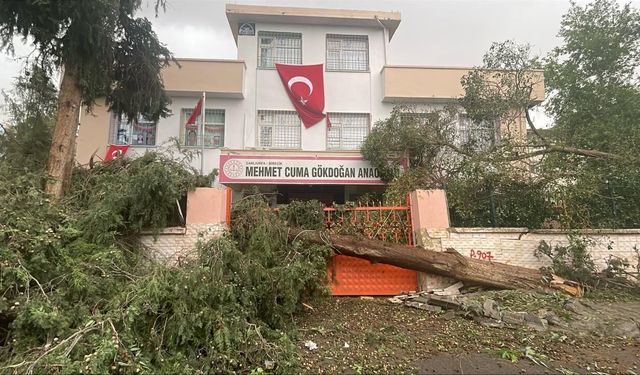Şanlıurfa'nın Birecik ve Viranşehir ilçelerinde eğitime 4 gün ara