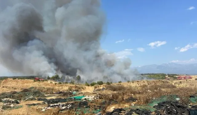 Antalya Aksu'da orman yangını: Havadan ve karadan müdahale ediliyor