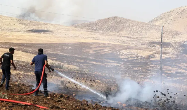 Mardin'in üç ilçesinde ot, anız, saman yangınları!