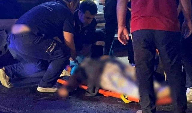 Mardin'de otomobilin çarptığı yaşlı kadın hayatını kaybetti