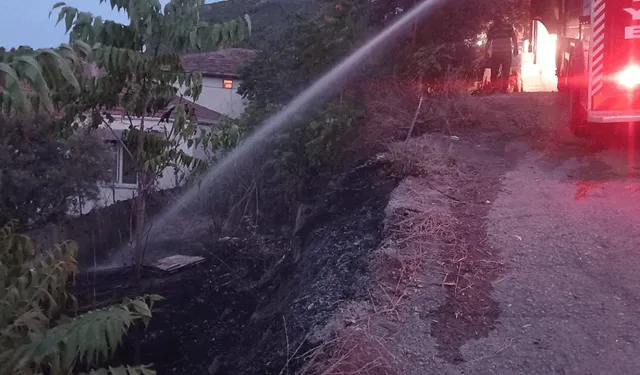 Bilecik'te otluk alanda yangın
