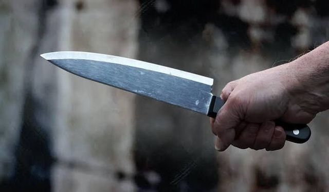 Kardeşlerin kavgası kanlı bitti! Ağabey gözaltında
