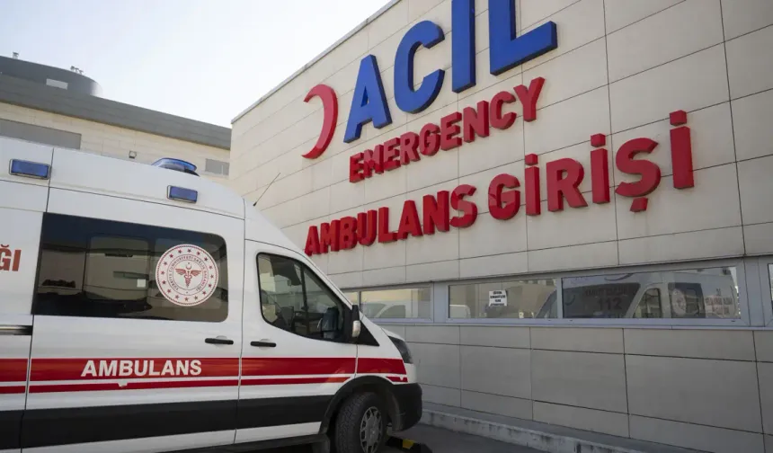 Yılanı vurmak isterken 5 kişiyi yaraladı