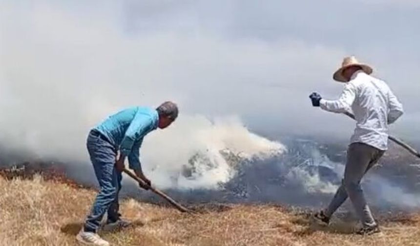Hakkari'de yangın: Bin balya ot kullanılamaz hale geldi