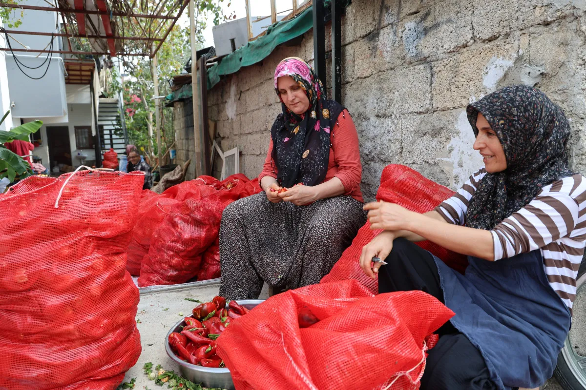 Adana’da Damlar Kırmızıya Büründü: Salça Mevsimi Başladı