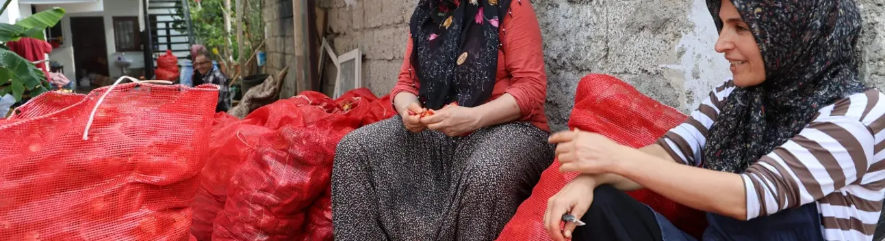 Adana’da Damlar Kırmızıya Büründü: Salça Mevsimi Başladı